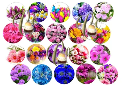 Капкейки с цветами и орхидеями на 8 марта, свадьбу | Капкейки, Шоколадные  рецепты, Оригинальные торты