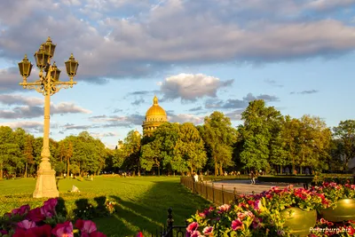 Александровский сад Петербурга