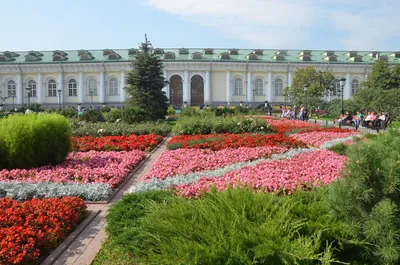 Александровский сад, Москва (Кремль). Памятники, достопримечательности, как  добраться, отели рядом – Туристер.Ру