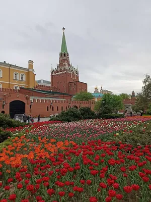 Александровский сад