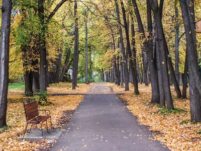 Александровский сад в Москве