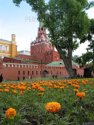 🌳Александровский сад в Москве: история и фото.