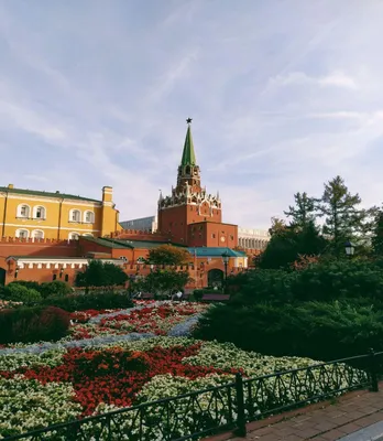 Александровский сад (Москва): мероприятия, еда, цены, билеты, карта, как  добраться, часы работы — ParkSeason