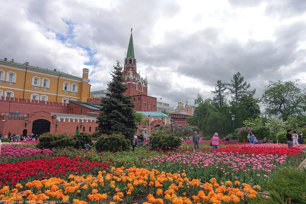 Александровский сад воронеж. Москва Александровский сад Александровский сад. Александровский парк Москва. Александрийский сад в Москве. Александровский сад Москва в мае.