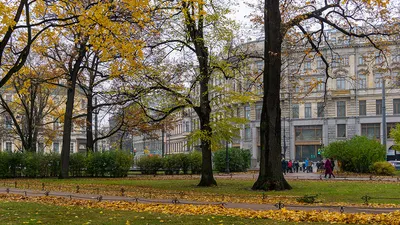 Александровский парк в Санкт-Петербурге, Питере, СПБ
