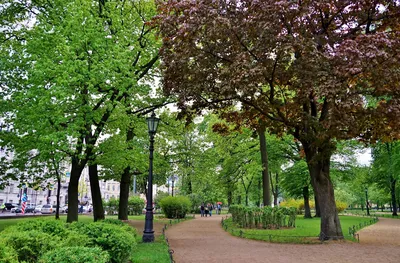 Александровский сад в Санкт-Петербурге: как добраться, история, фото
