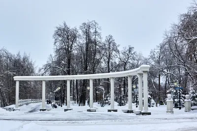 Зимняя Тюмень: Александровский (Загородный) сад