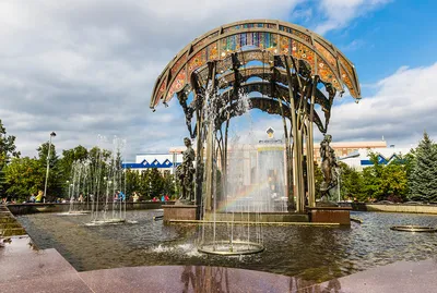 Тюмень: цветущий Александровский (Загородный) сад 🌸😍 ⠀ Фото  @denis_benigno #тюмень #tyumen | Instagram