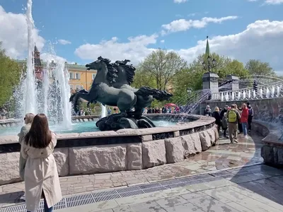 Места для фотосессий в Тюмени, где много цветущих яблонь и черемухи, май  2021 год - 16 мая 2021 - 72.ru