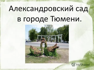 Александровский сад Тобольска ждет второй и третий этап благоустройства в  2024 году МегаТюмень