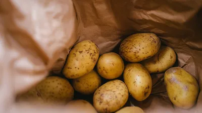 Акция-реакция: в Днепре под шумок решили продать гнилой картофель. |  Gorsovet