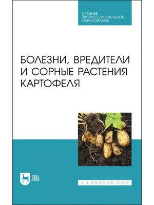 Грибки на клубнях картофеля - как появляются и что делать