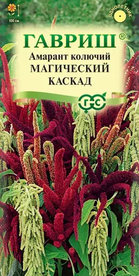 Амарант Метельчатый – купить в интернет-магазине OZON по низкой цене