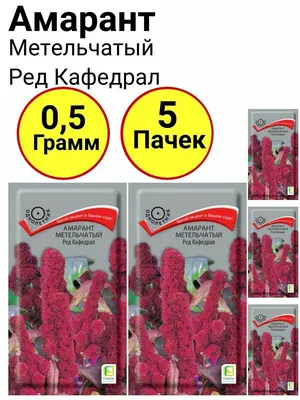 Амарант Метельчатый Ред Кафедрал – купить семена в интернет-магазине Лафа с  доставкой по Москве, Московской области и России