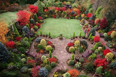 Английский сад – десять основных принципов его обустройства