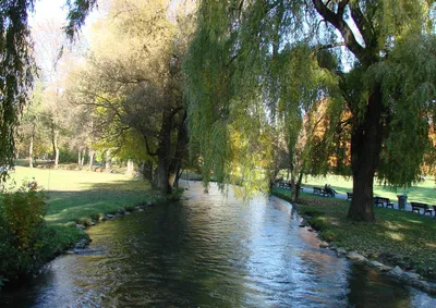 Английский сад (нем. Englischer Garten) в Мюнхене. Фото