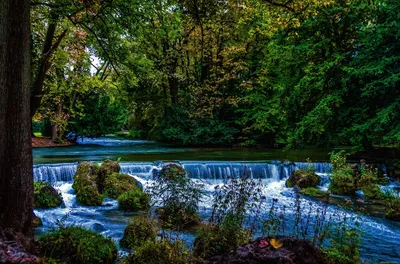 мюнхен английский сад англичане гартен парк осенью. мюнхен бавария германия  Стоковое Изображение - изображение насчитывающей немецко, сад: 223795873