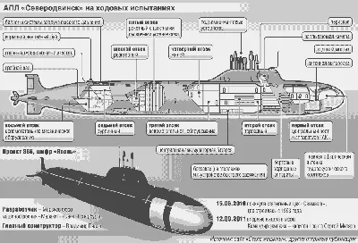 Путин принял участие в поднятии флагов на подводных крейсерах в  Северодвинске - Ведомости. Северо-Запад