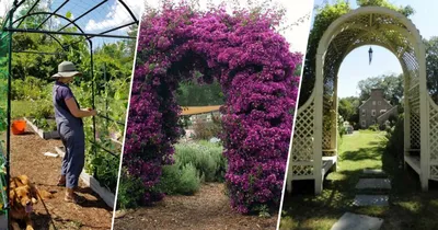 Как сделать садовые арки - идеи с фото - Лайфхаки для сада и огорода |  Сегодня