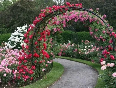 Деревянная садовая арка своими руками | Mensh.ru