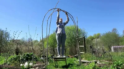 садовая АРКА своими руками / Garden arch from willow twigs - YouTube