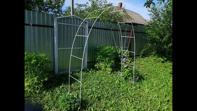 Садовые арки своими руками: как сделать арку в саду для винограда,  клематиса и других растений? | Houzz Россия