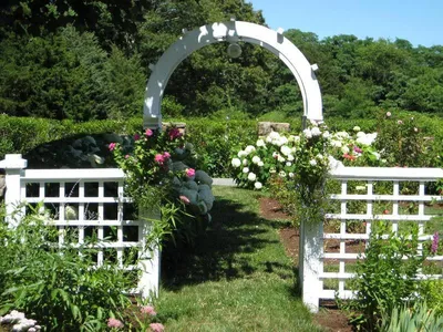 Садовая арка для вьющихся растений на даче | Школа садовода | Дзен