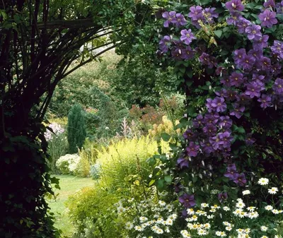Английский сад: создаем идиллию и волшебство собственными руками - элементы  и правила