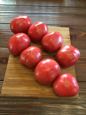 Купить помидоры азербайджанские 500 г, цены в Москве на Мегамаркет |  Артикул: 100045241593