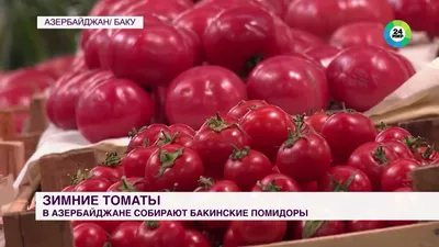 Помидоры черри Азербайджанские – Овощи – купить с доставкой по Москве в  интернет-магазине ВИТАМИНЫ