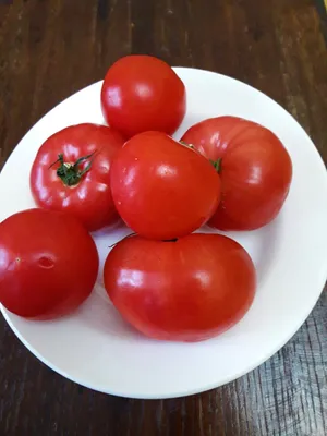 ЯБЛОКО on Instagram: \"Розовые Азербайджанские помидоры 🍅 4-рядка 105₽  оптом\"