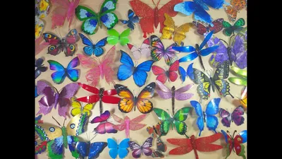 Красивые бабочки из фоамирана. Мастер-класс (8 фото). Воспитателям детских  садов, школьным учителям и педагогам - Маам.ру