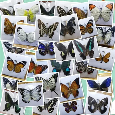 Бабочки своими руками / Поделки из бумаги и бисера - YouTube