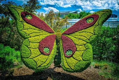 Купить Украшение сада, реалистичные бабочки, вставки, двухслойные крылья с  кольями, имитация бабочки | Joom