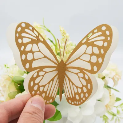 Крылья бабочки из цветочных лепестков | SM Party