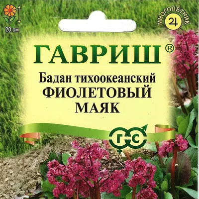 Бадан сердцелистный \"Rotblum\" купить по цене 950 рублей от питомника  саженцев и растений Центросад | Фото и консультация по уходу