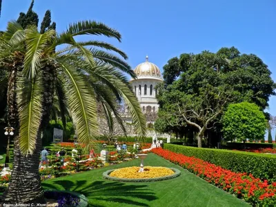 Бахайские сады и храм в Хайфе - Путешествуем вместе | Haifa, Baha, Places