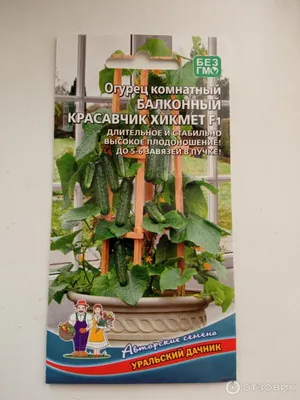 Огурец балконный Окошко F1 (10 семян) — купить в интернет-магазине по  низкой цене на Яндекс Маркете