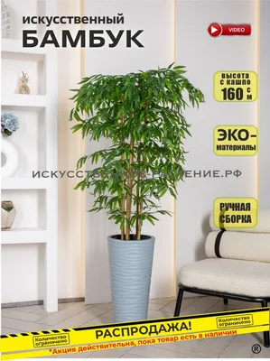 Купить цветы для офиса Искусственное растение Бамбук Новый Японский, высота  - 140 см в магазине ARTPLANTS с доставкой по Москве