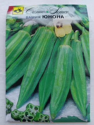 В Амурскую область из Китая впервые привезли экзотический овощ бамия ▸  Amur.Life