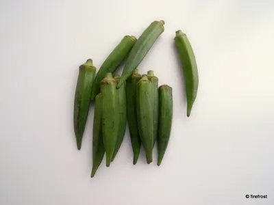 Бамия Зеленый бархат 0.25 г Gl Seeds - купить по лучшей цене в  Днепропетровской области от компании \"Agroretail.com.ua\" - 540047262