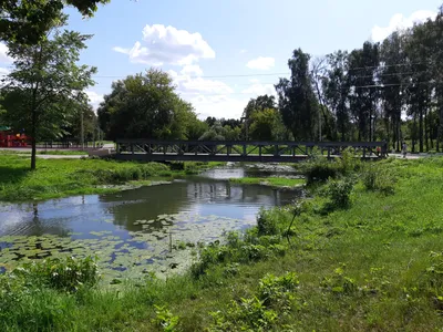 Отзыв о Баташевский сад (Россия, Тула) | Ещё один зелёный островок города.
