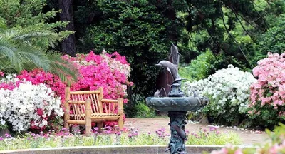 Ботаничка - Батумский ботанический сад (Batumi Botanical... | Facebook