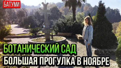 Ботанический сад - Батуми Грузия | Директор Батуми | Дзен