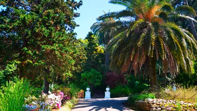Ботанический сад Батуми - LookAtIsrael.com - Увидеть Израиль и не только
