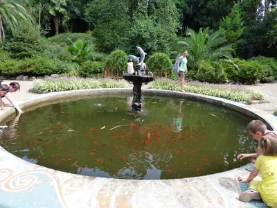 Отзыв о Ботанический сад (Грузия, Батуми) | Не очаровывайтесь раньше  времени и не будете разочарованы
