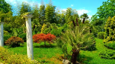Ботанический сад. Батуми — World of Roads