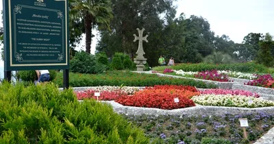 Ботанический сад Батуми - фотографии, описание, на карте, стоимость, советы  перед посещением