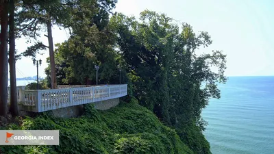 Ботанический сад Батуми стоковое изображение. изображение насчитывающей  обозревать - 155274355
