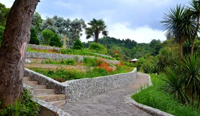 Ботанический Сад Батуми (Батуми, Грузия) - авторский обзор, часы работы,  цены, фото | Коллекция Кидпассаж